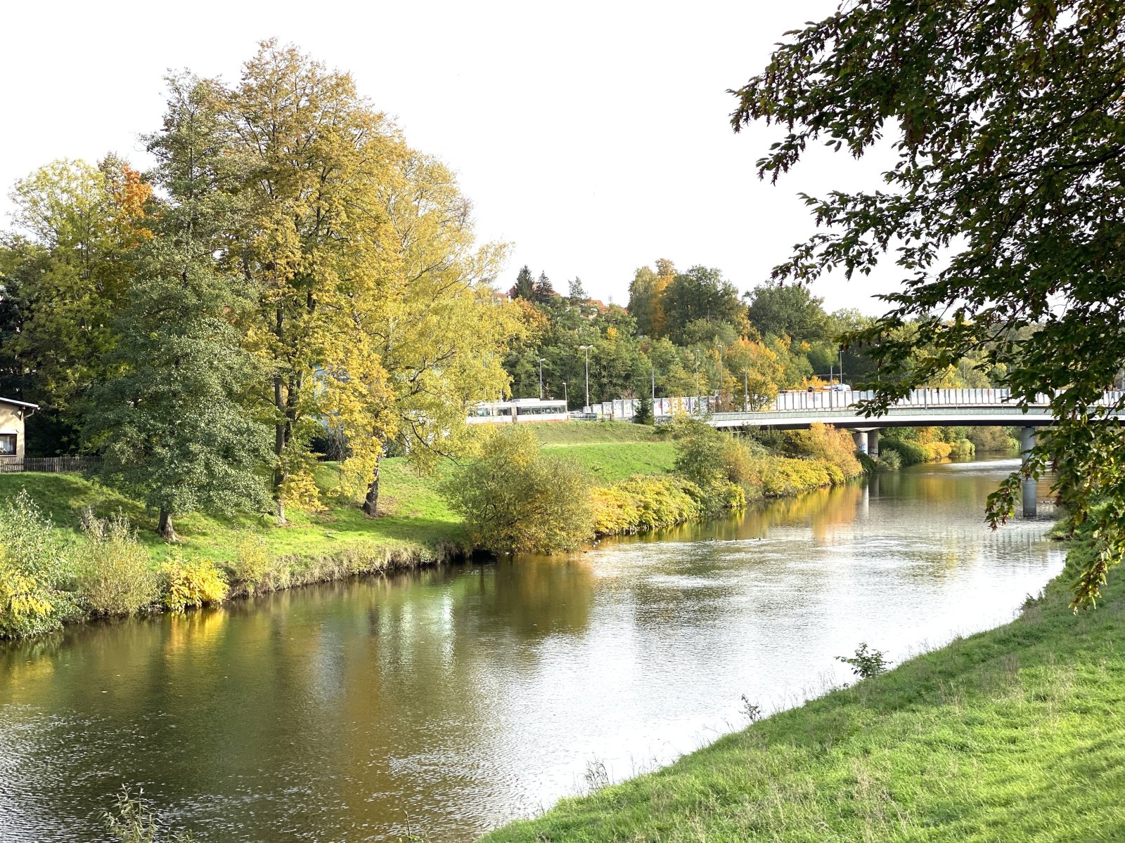 Fluss-Aue der Zwickauer Mulde