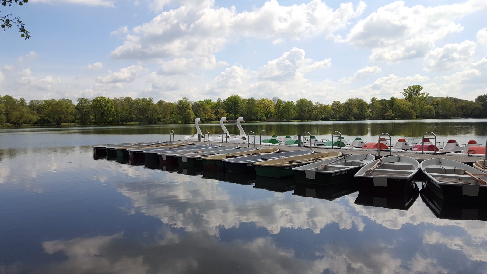 Bootsausleihe, u.a. mit Elektro-Schwänen