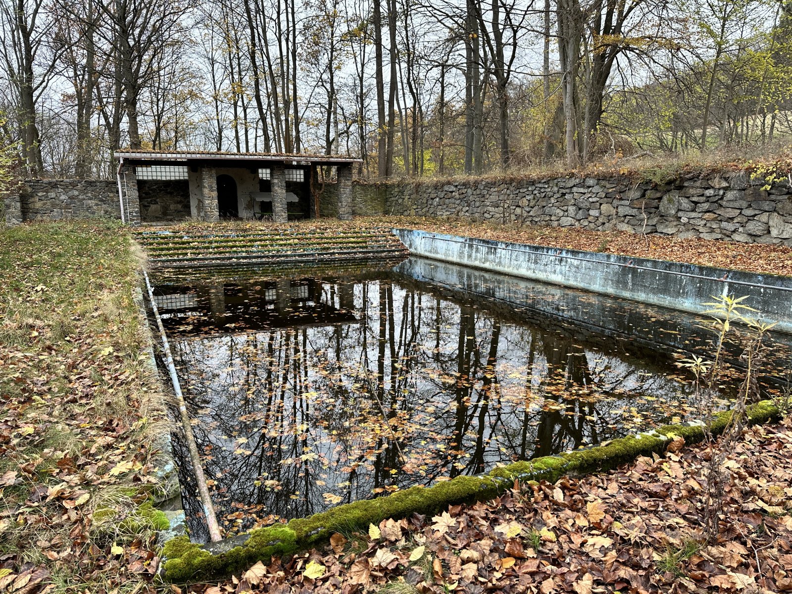 Schwimmbad/Teich